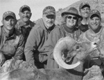2012-california-wild-sheep-article-photo-bogue