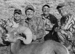 2012-california-wild-sheep-article-photo-dickson